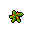 Star Herb